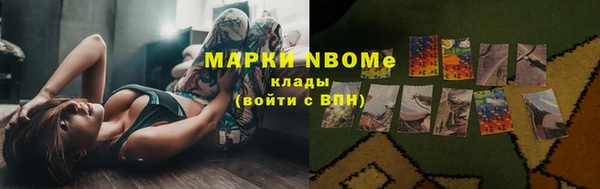 apvp Аркадак